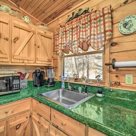 Franklin Cabin With Porch Near Hiking And Waterfalls! エクステリア 写真